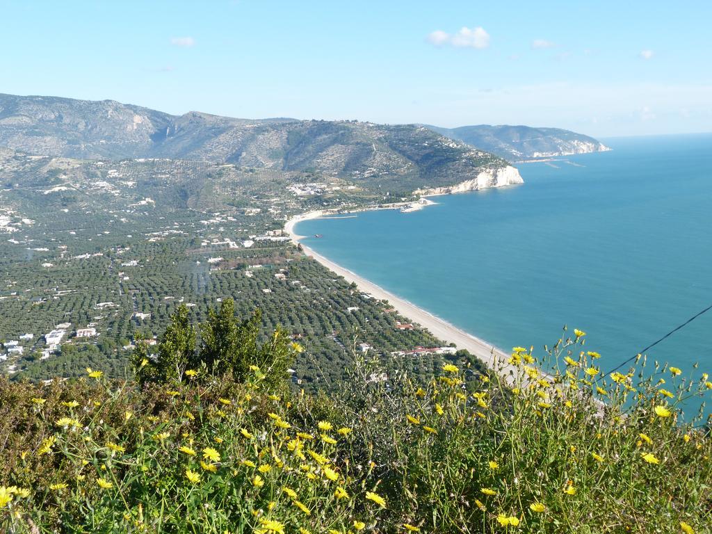 Orchidea Mattinata Parco Del Gargano Apartment ภายนอก รูปภาพ