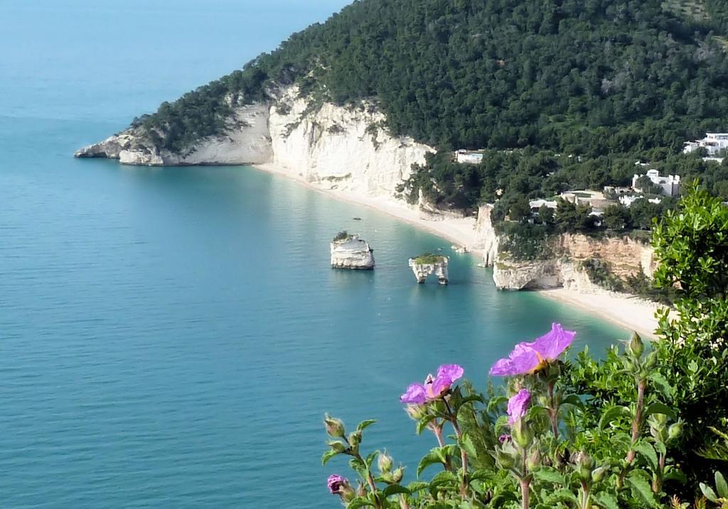 Orchidea Mattinata Parco Del Gargano Apartment ภายนอก รูปภาพ