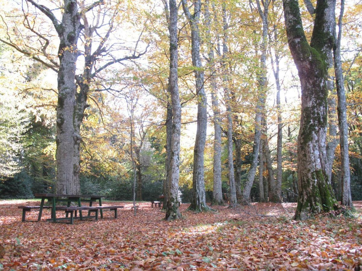 Orchidea Mattinata Parco Del Gargano Apartment ภายนอก รูปภาพ