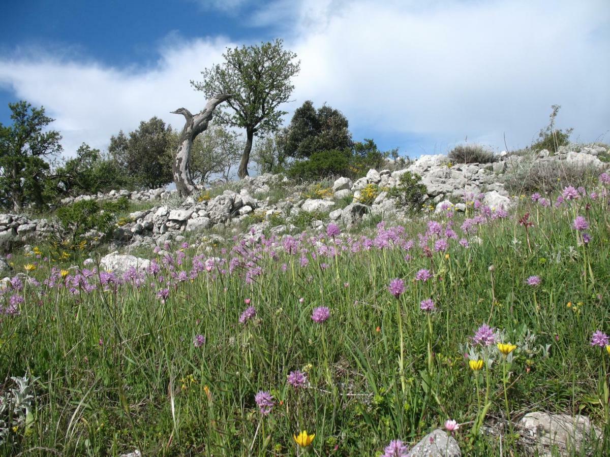 Orchidea Mattinata Parco Del Gargano Apartment ภายนอก รูปภาพ